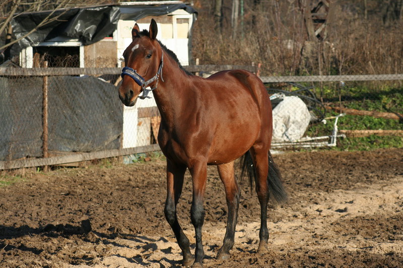 IMG_1332.jpg1.jpg"%20height="533"%20width="800